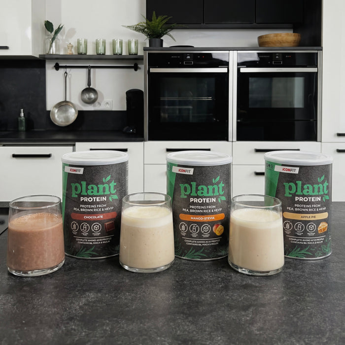 ICONFIT Plant Protein (480 g)